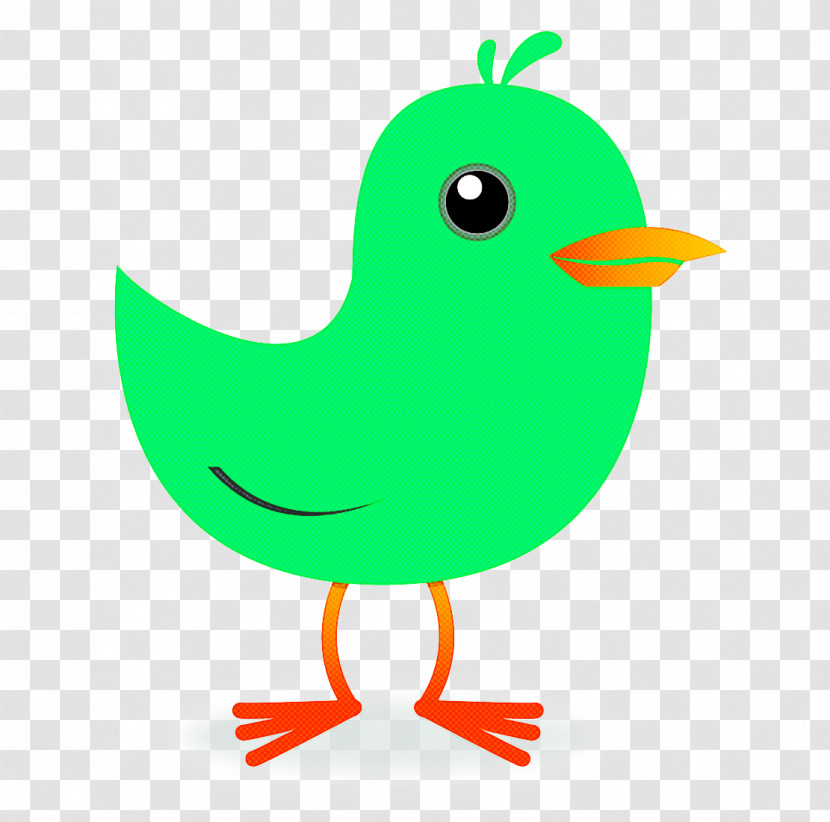 Bird Green Beak Cartoon Water Bird Transparent PNG