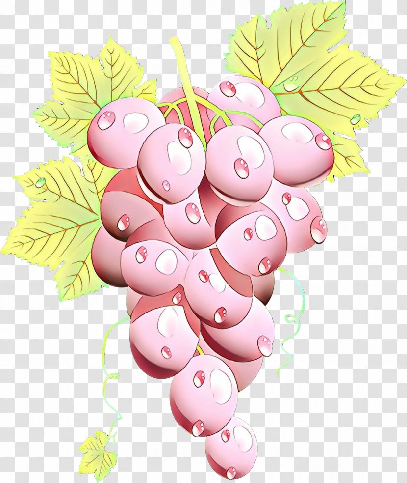 Grape Cartoon - Isabella - Food Plant Transparent PNG