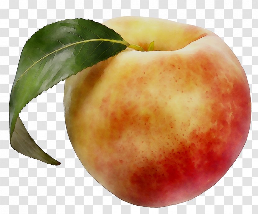 Peach Local Food McIntosh Laboratory - Pluot - Fruit Transparent PNG