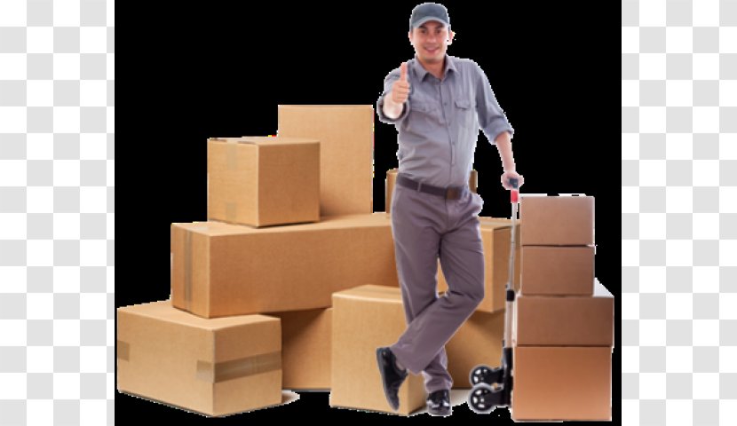 Packers & Movers Relocation Packaging And Labeling Box - Cardboard Transparent PNG