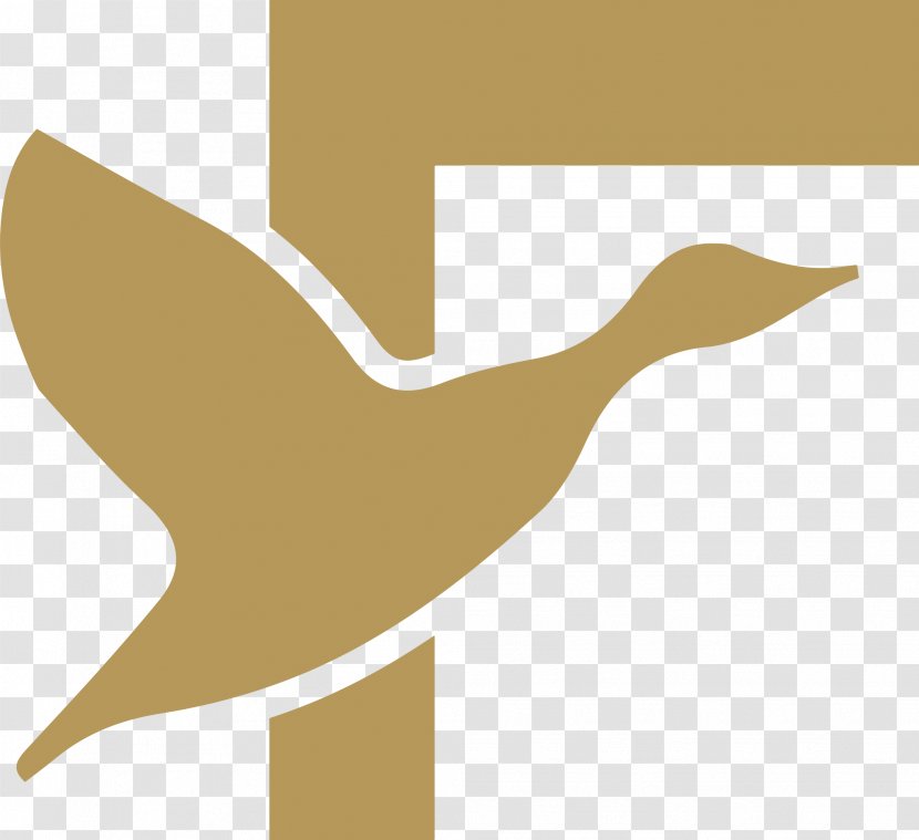 Goose Duck Bird FLOCK Waterfowl - Fauna - Flock Transparent PNG