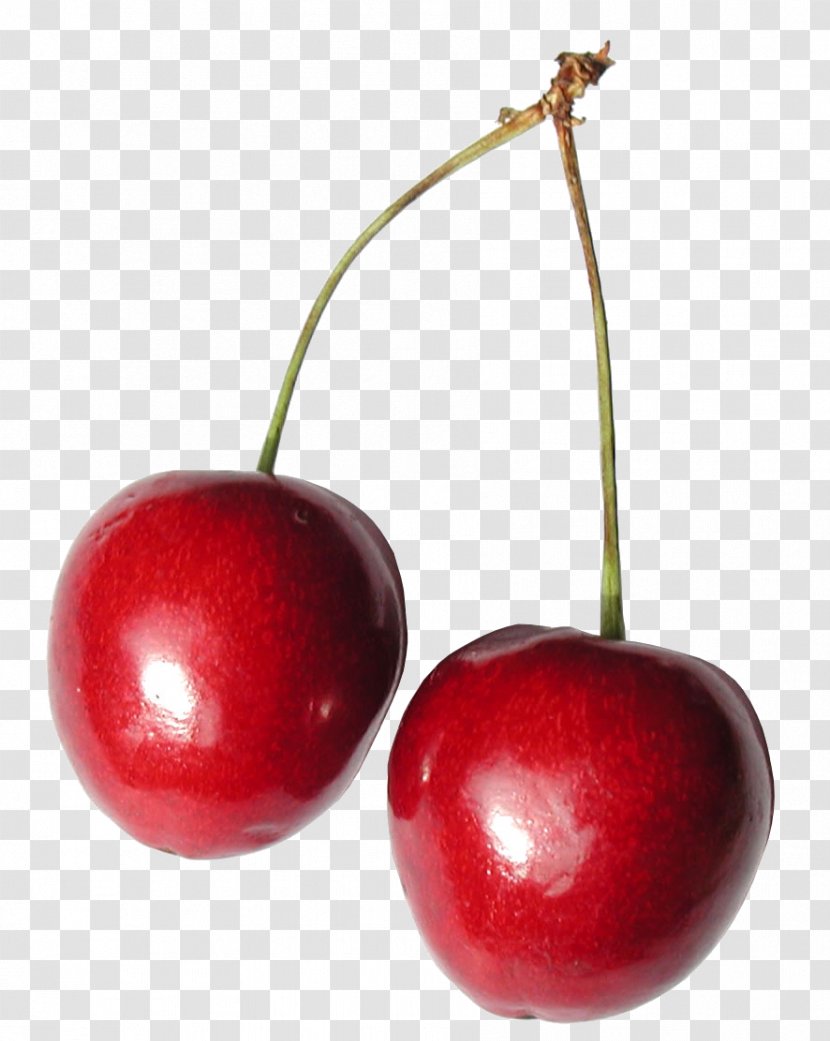 Cherry Fruit Drupe Food Desktop Wallpaper - Creamed Honey - Cherries Transparent PNG