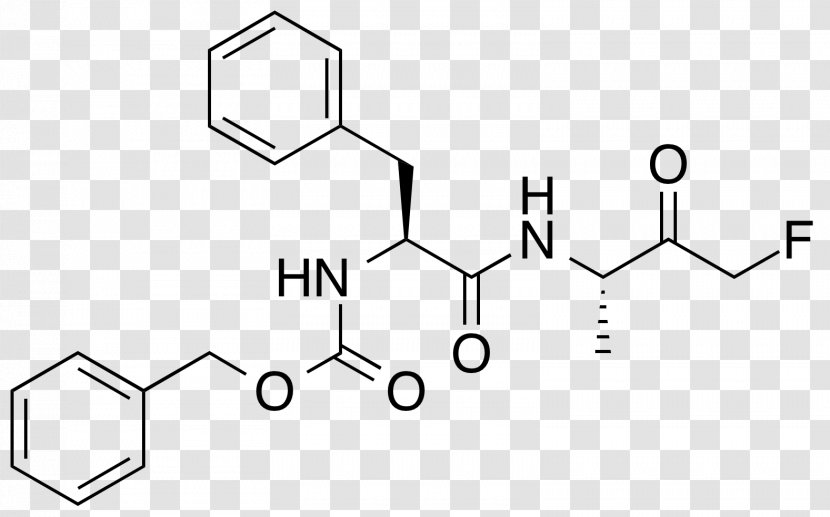 Albuterol Drug Metabolism CYP2D6 Pharmaceutical - Black And White - Fa Transparent PNG