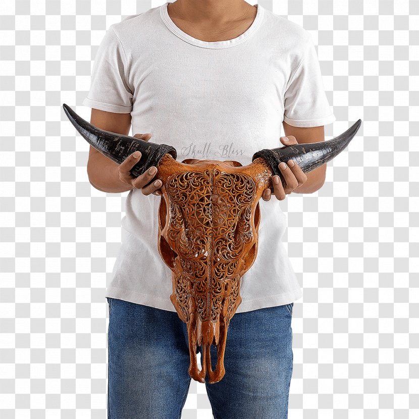 Horn Antique Skull Design Cattle Transparent PNG