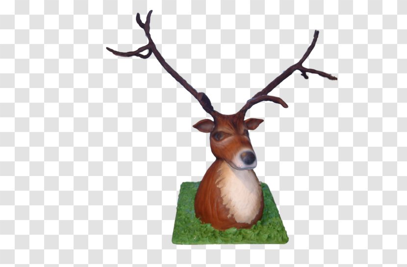 Reindeer Antler Wildlife - Deer Transparent PNG