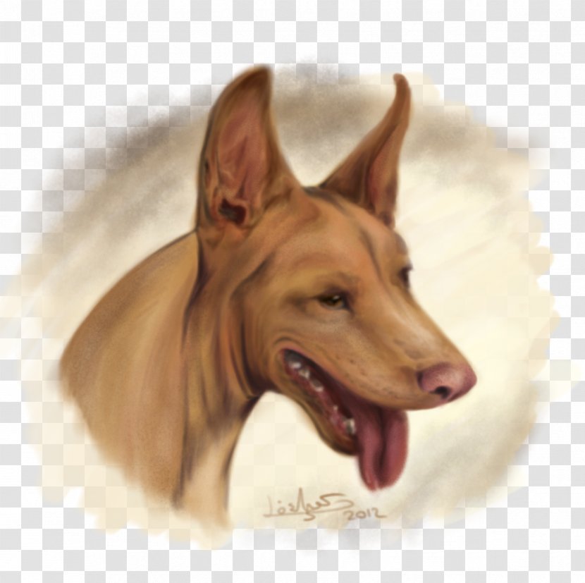 Dog Breed Pharaoh Hound Pariah Domestic Pig Ear - Silhouette Transparent PNG