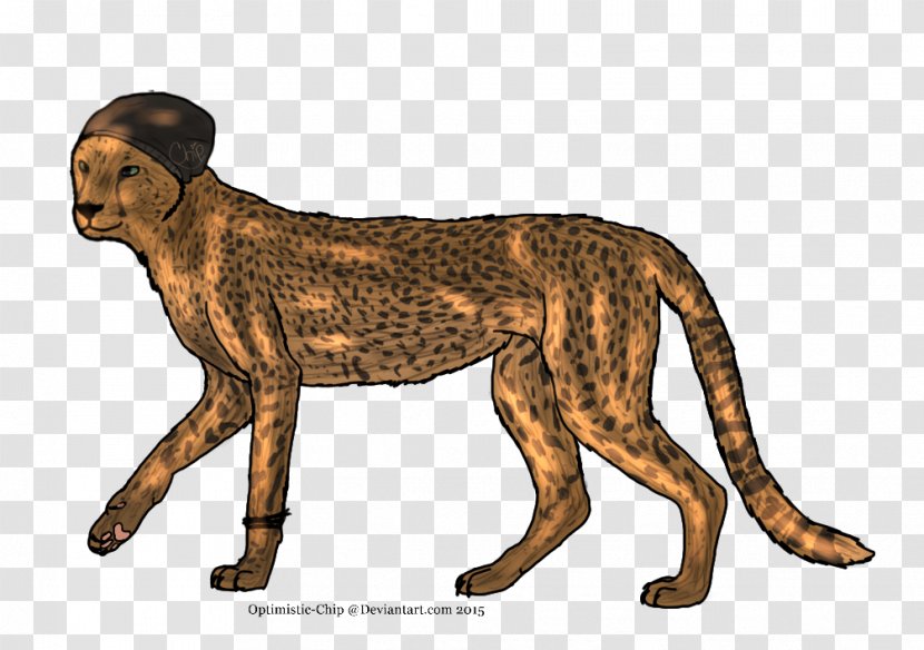 Cheetah Lion Cat Dog Terrestrial Animal - Figure Transparent PNG