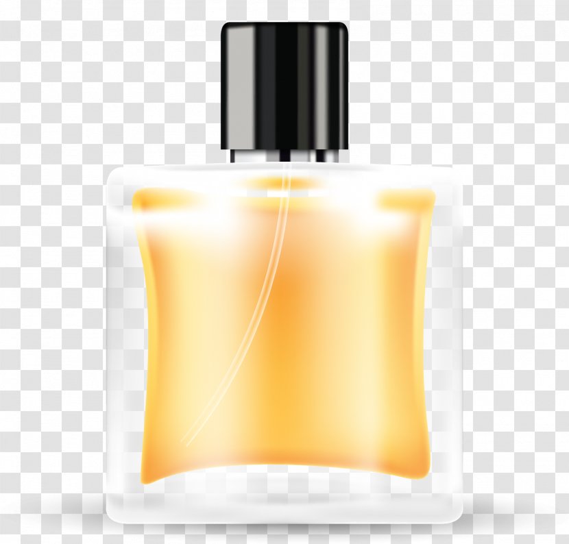 Perfume Bottle Packaging And Labeling - Vector Hand-painted Transparent PNG