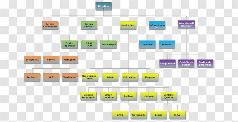 Organizational Chart Francelog S.A. Empresa Electricity Contract Manufacturer - Organization - Web Production Transparent PNG