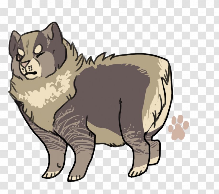 Whiskers Dog Raccoon Cat Procyonidae Transparent PNG