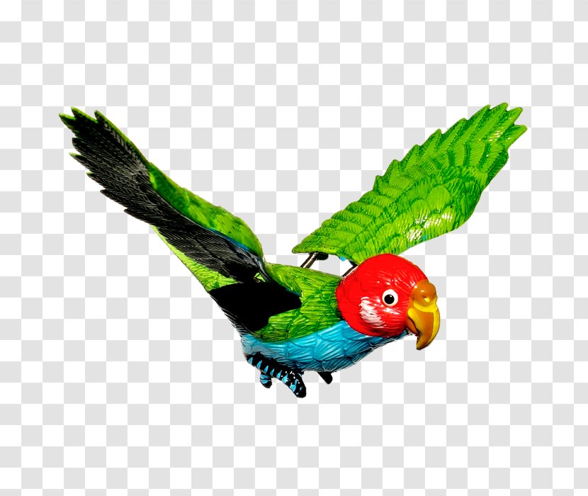 True Parrot Download - Beak - Green Toys Transparent PNG