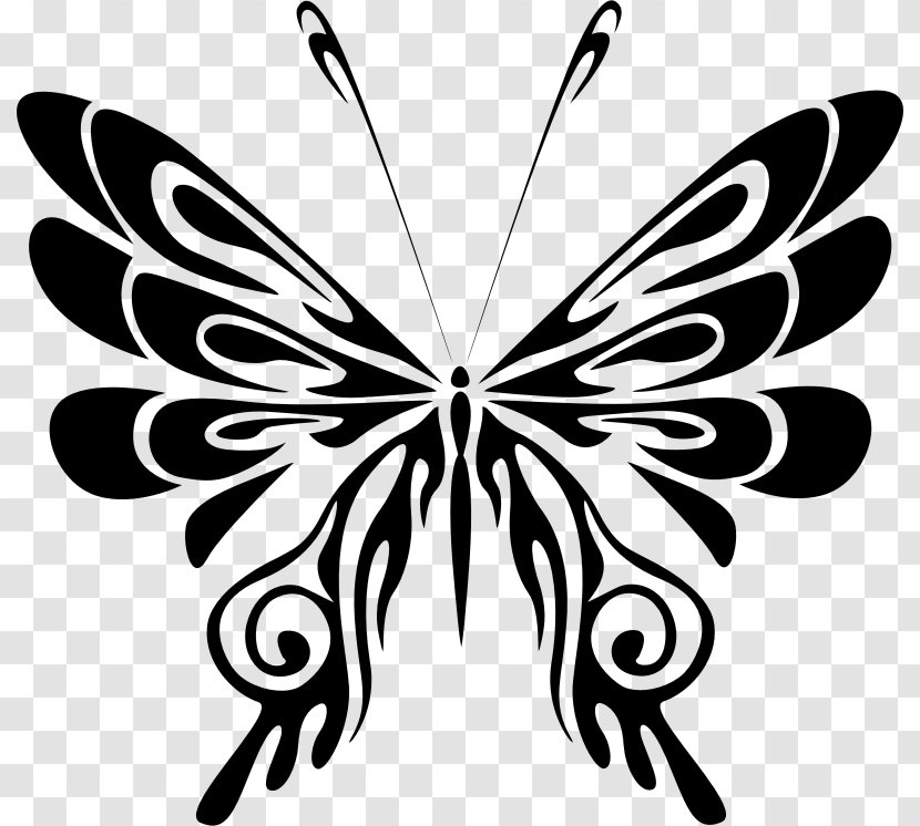 Line Art Butterfly Clip - Invertebrate - Hummingbird Silhouette Transparent PNG