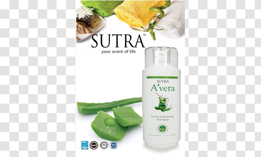 Aloe Vera Moisturizer Skin Eczema Gel - Avera Mengistu Transparent PNG