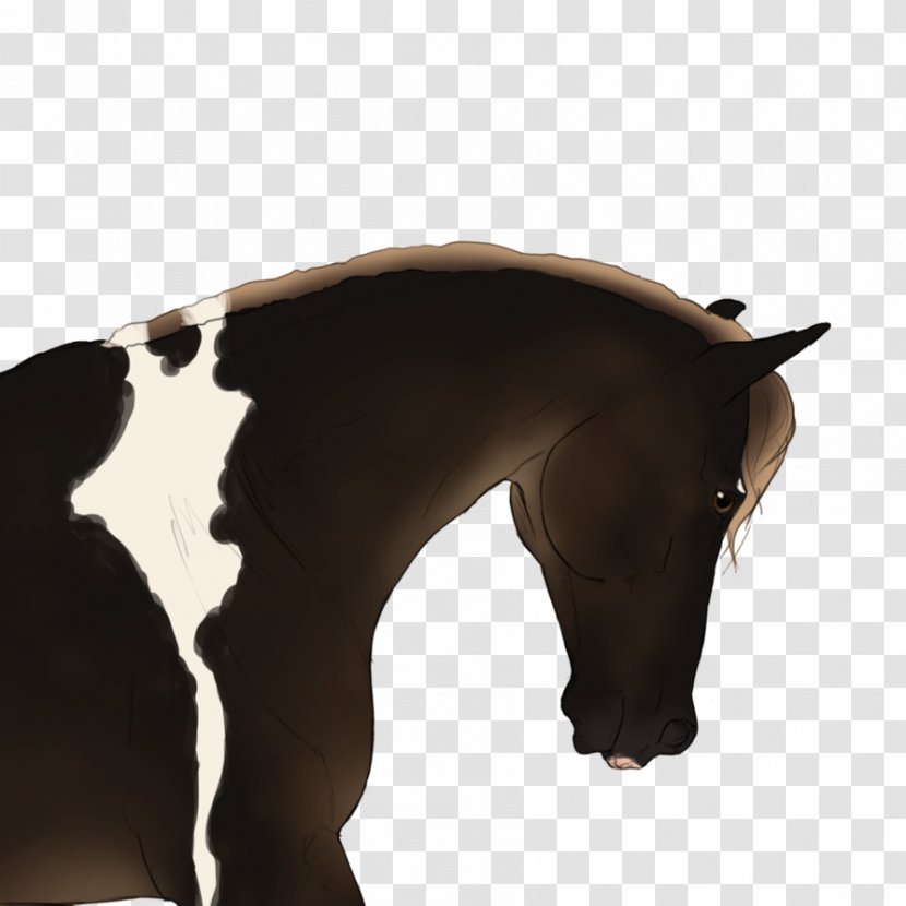 Mustang Stallion Rein Halter Snout - Brown Transparent PNG