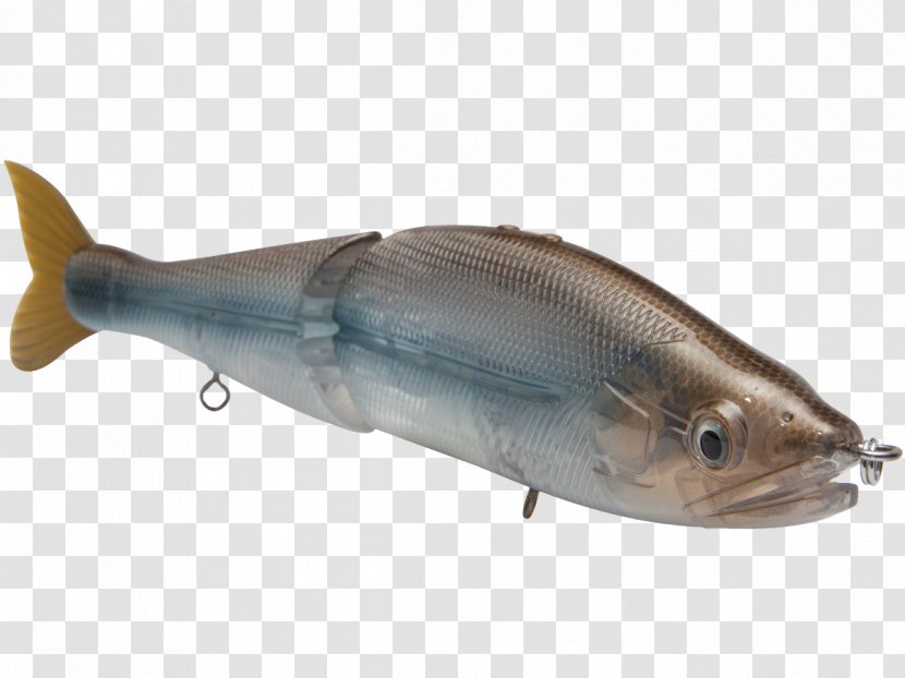 Milkfish 09777 Fish Products Oily Salmon - Largemouth Bass Transparent PNG