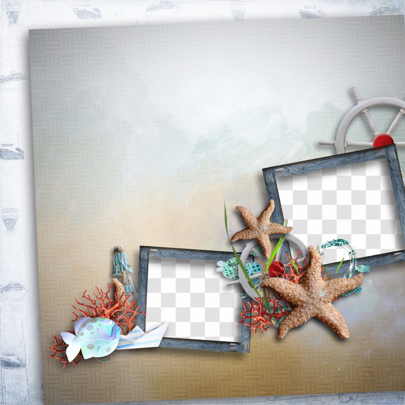 Picture Frame Starfish Paper - Painting Transparent PNG