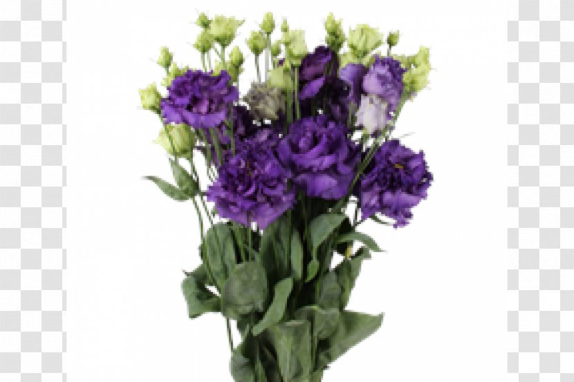 Purple Prairie Gentian Floral Design Cut Flowers - Tapenade Transparent PNG