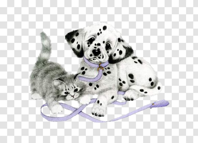 Dalmatian Dog Puppy Cat Clip Art - Dalmatians Transparent PNG