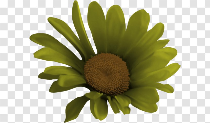 Image Illustration Blog Vector Graphics - Liveinternet - Flower Transparent PNG