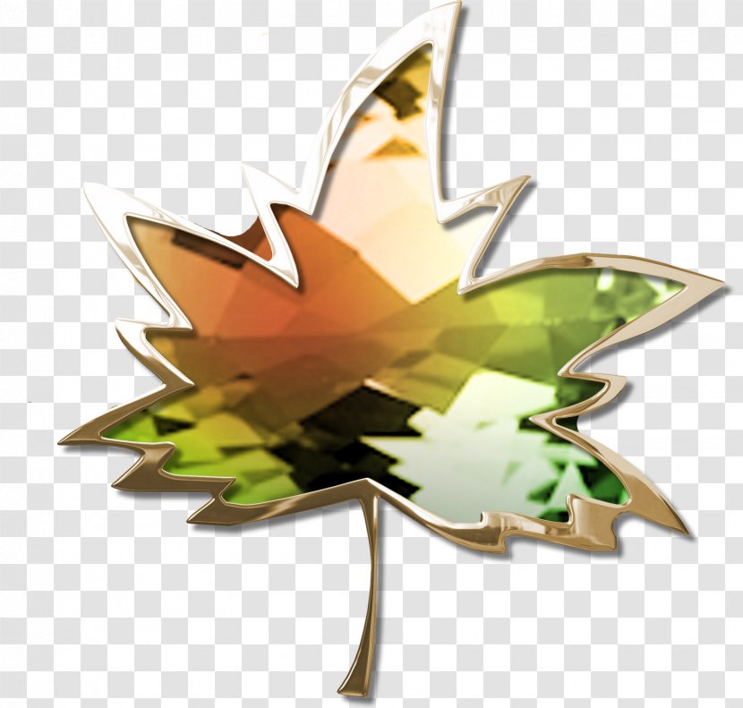 Leaf Butterfly Flowering Plant Tree 2M - Autumn Transparent PNG