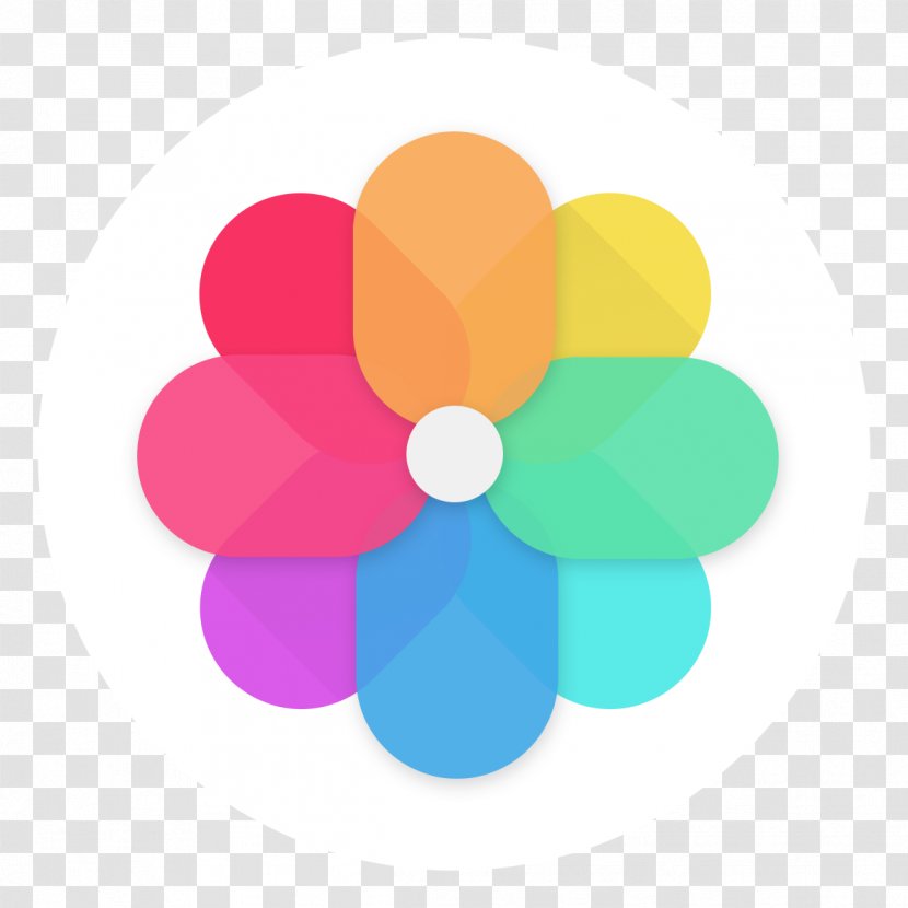 Desktop Wallpaper Petal Flower - Magenta - Commercial Use Transparent PNG