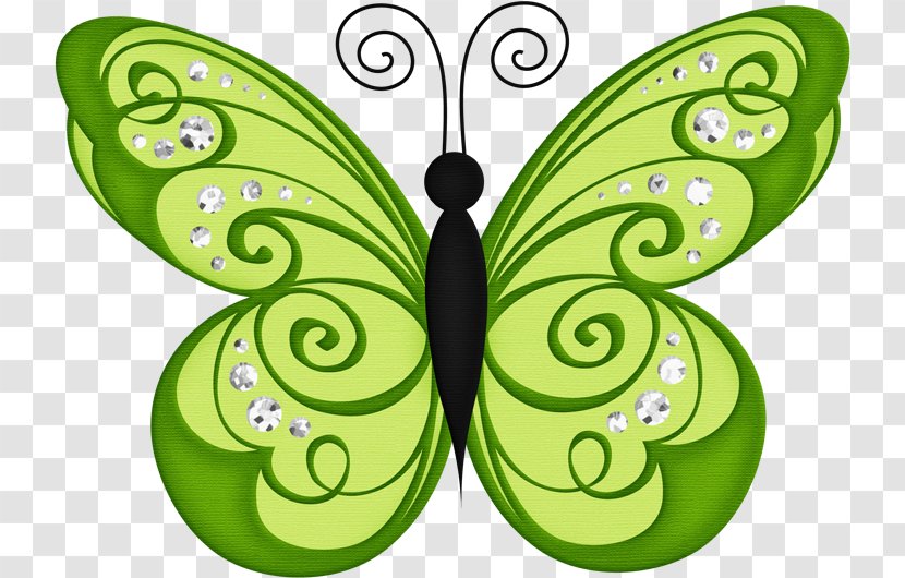 Butterfly Clip Art Openclipart Green Drawing - Organism Transparent PNG