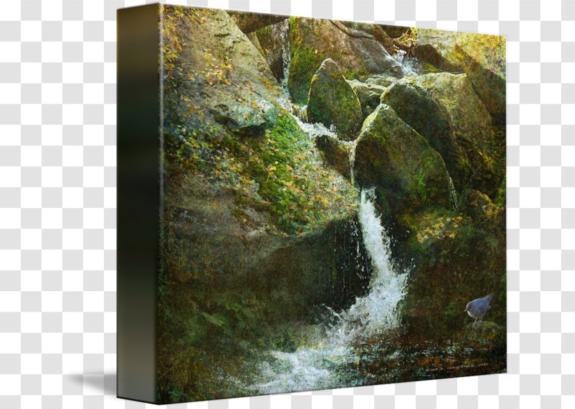 Body Of Water Nature Reserve Stream Waterfall Resources - Video Transparent PNG