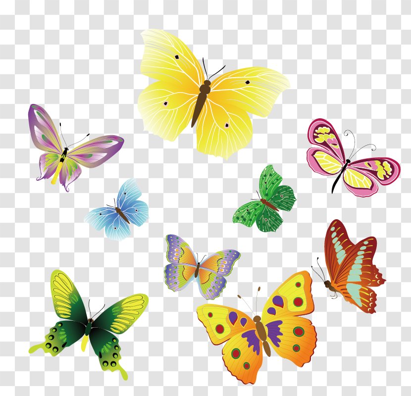 Butterfly Insect Euclidean Vector Clip Art - Petal - Colorful Material Transparent PNG