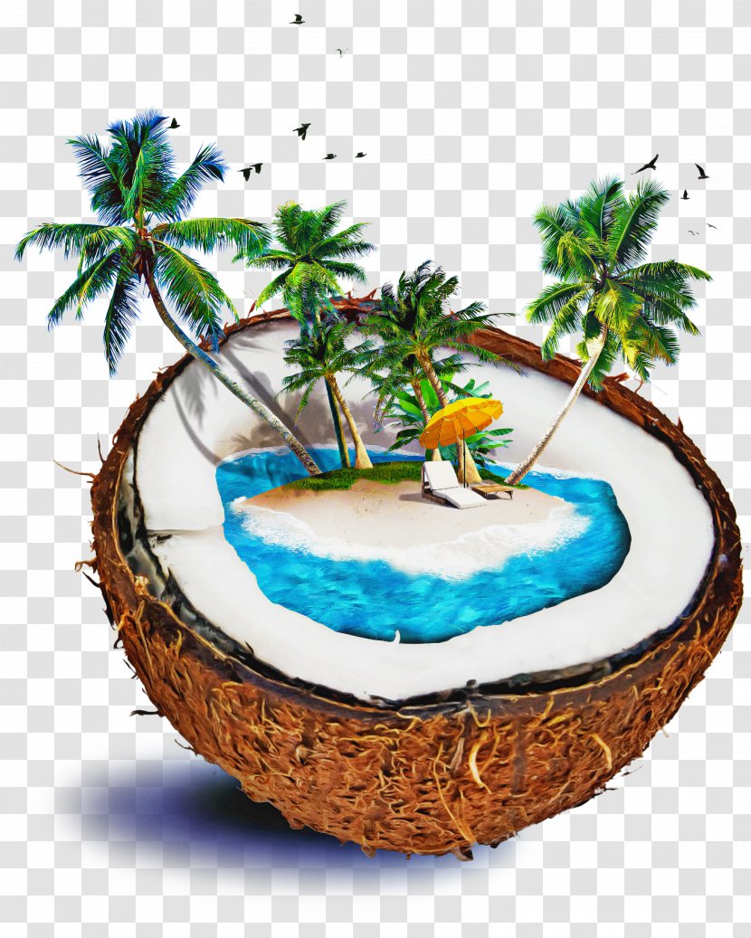 Coconut Tree Cartoon - Landscape - Vacation Transparent PNG