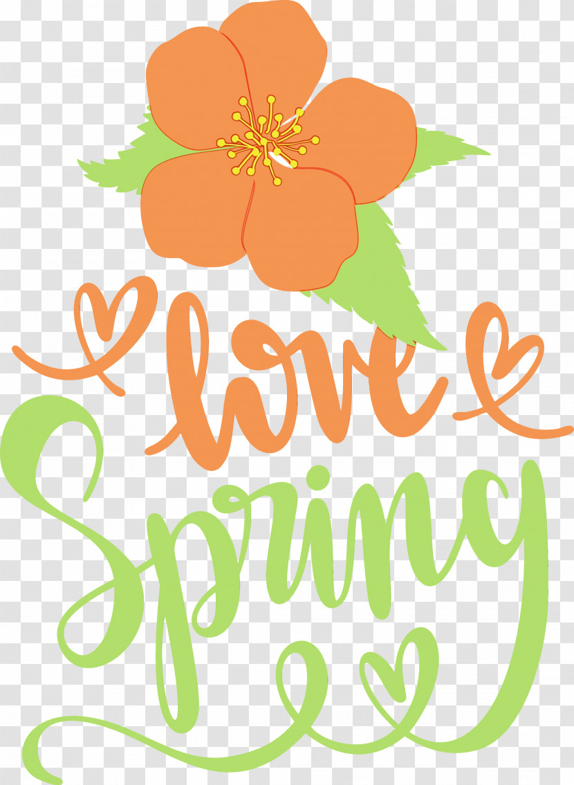 Floral Design Transparent PNG