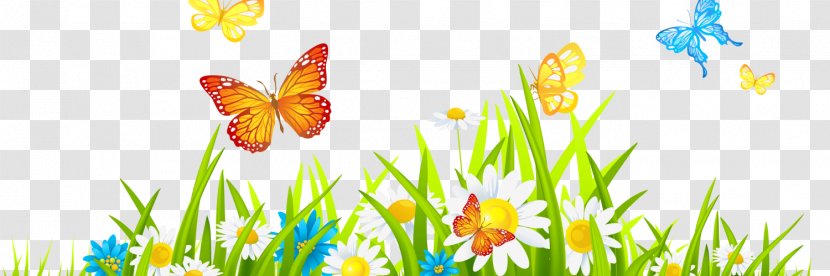 Flower Desktop Wallpaper Clip Art - Plant - Season Clipart Transparent PNG