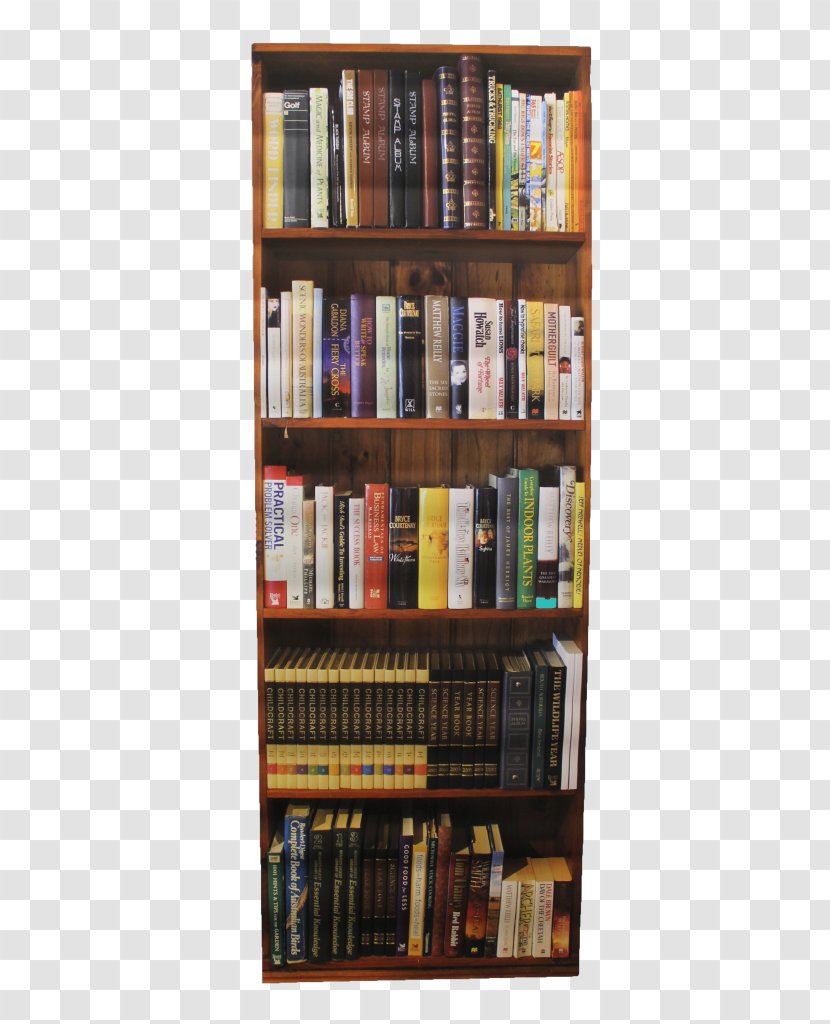 Bookcase Shelf Mural Wall - Store Transparent PNG