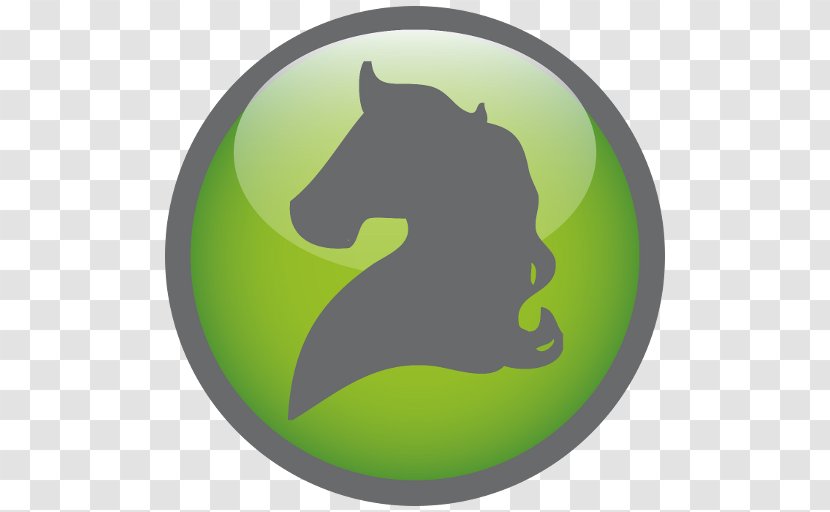Horse Graphics Silhouette Mammal Font - Natural Talent Team Sport Transparent PNG