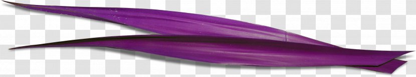 Dolphin Purple - Grass Transparent PNG