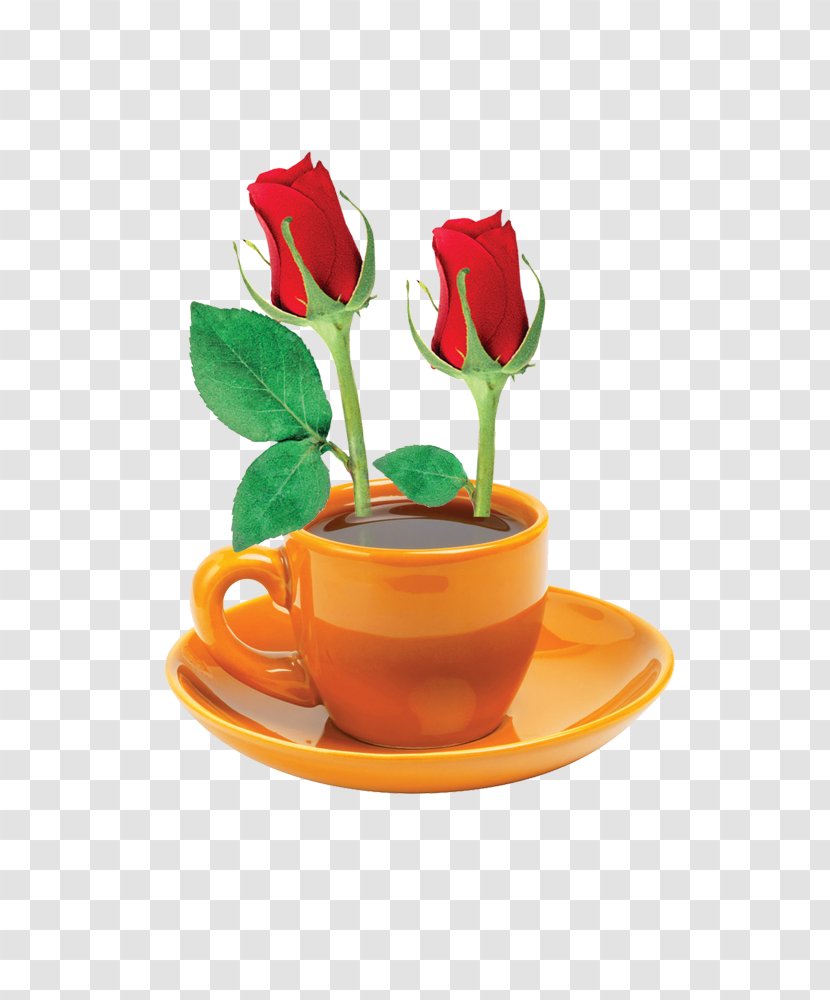 Coffee - Still Life Photography - Rose Transparent PNG