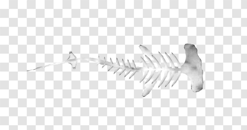 Hammerhead Shark Vertebrate Great Skeleton - Bird Transparent PNG
