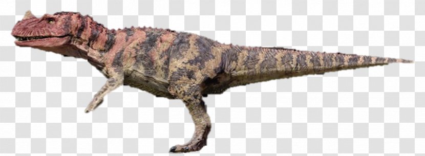 Tyrannosaurus Ceratosaurus Velociraptor Spinosaurus Segisaurus - Abelisaurus - Dinosaur Transparent PNG