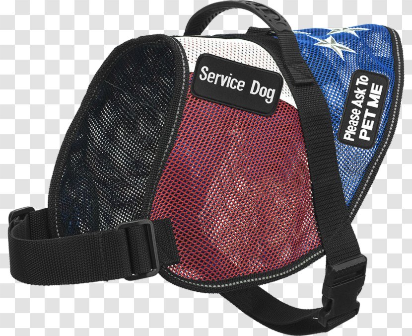 Personal Protective Equipment - Strap - Veterans Day Flyer Transparent PNG