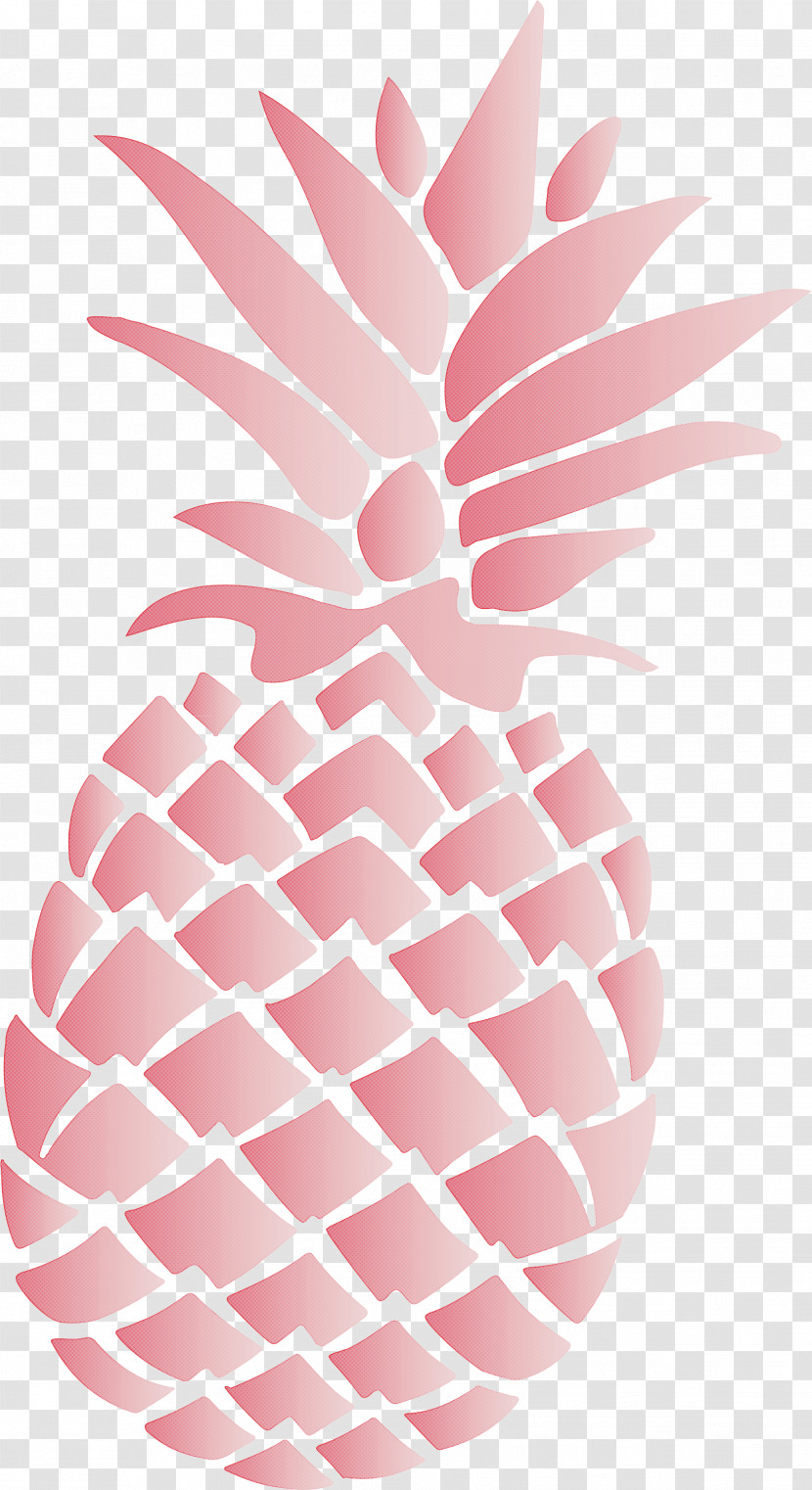 Pineapple Tropical Summer Transparent PNG
