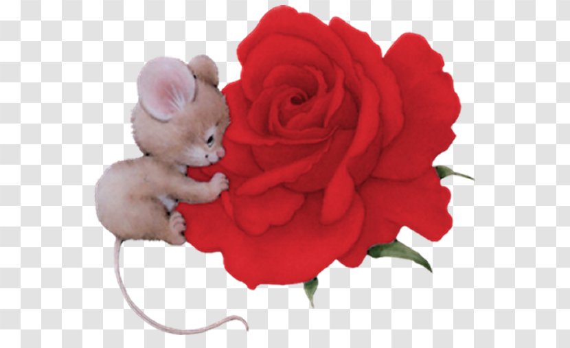 Happiness Wish Day Hug Garden Roses - Message - Mouse Tubes Transparent PNG