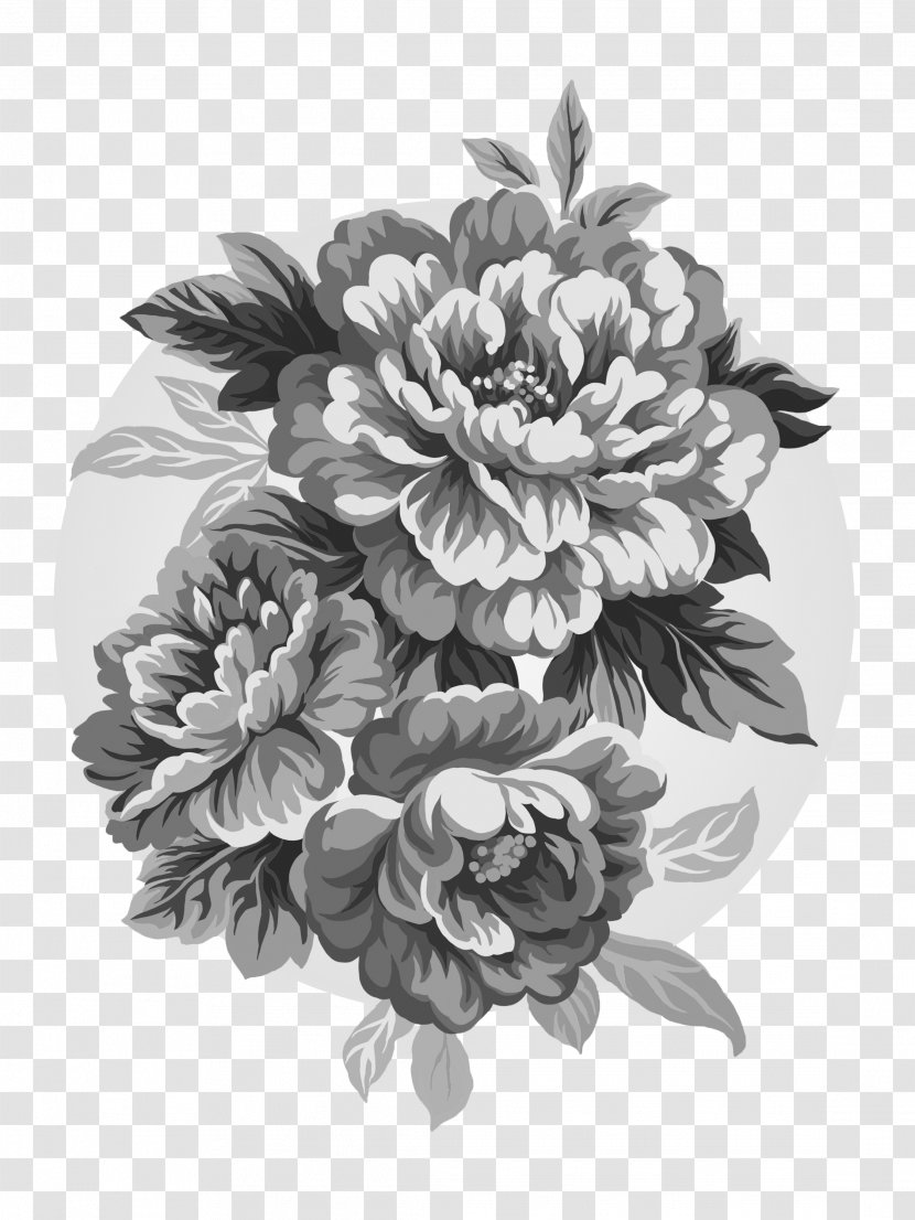 Peony Drawing Paeonia Lactiflora Clip Art Transparent PNG