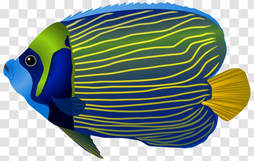 Papua New Guinea Underwater Ocean Fish Sea - Ornamental - Blue Clip Art Image Transparent PNG