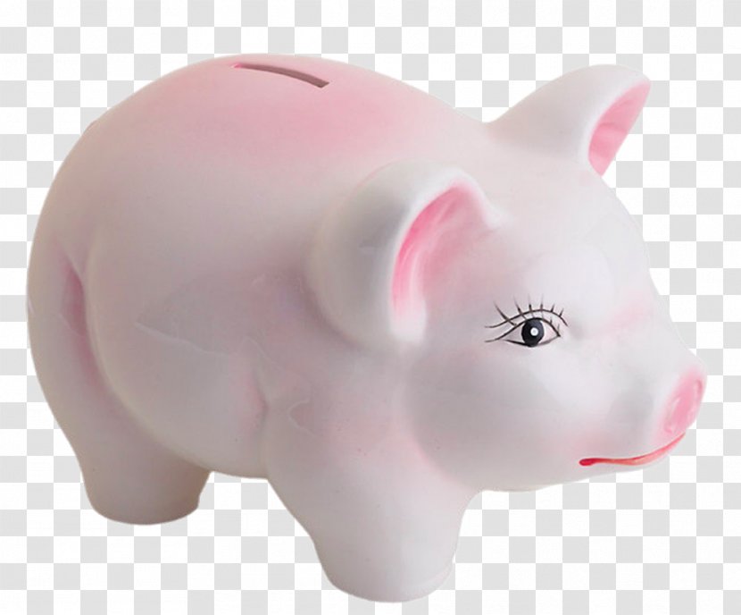 Domestic Pig Snout Piggy Bank - Close-up Side Transparent PNG