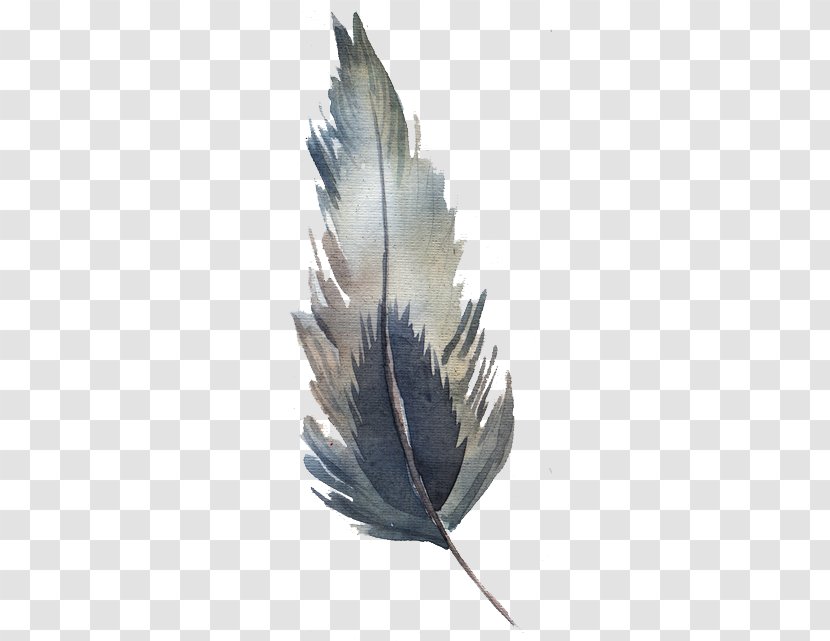 Watercolor Feather - Plant Transparent PNG