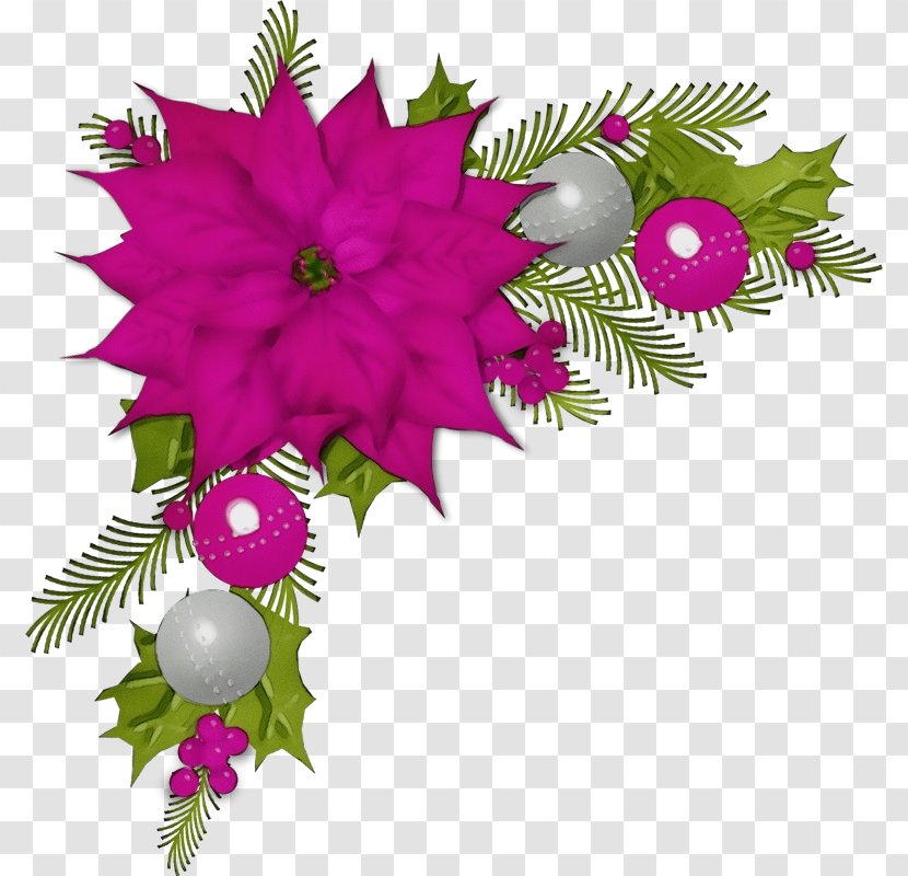 Christmas Decoration - Plant - Fir Holly Transparent PNG