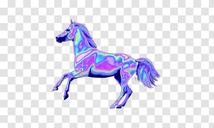Mustang White Stallion - Horse - Holographic Transparent PNG