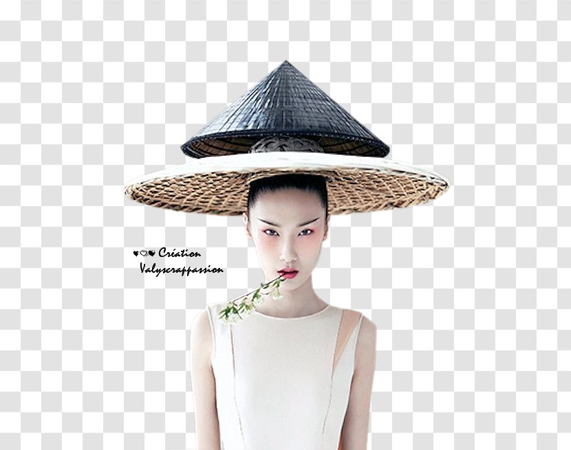 Charlene Almarvez China Fashion Photographer Interior Design Services - Designer Transparent PNG