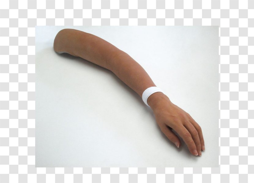 Thumb - Human Leg Transparent PNG