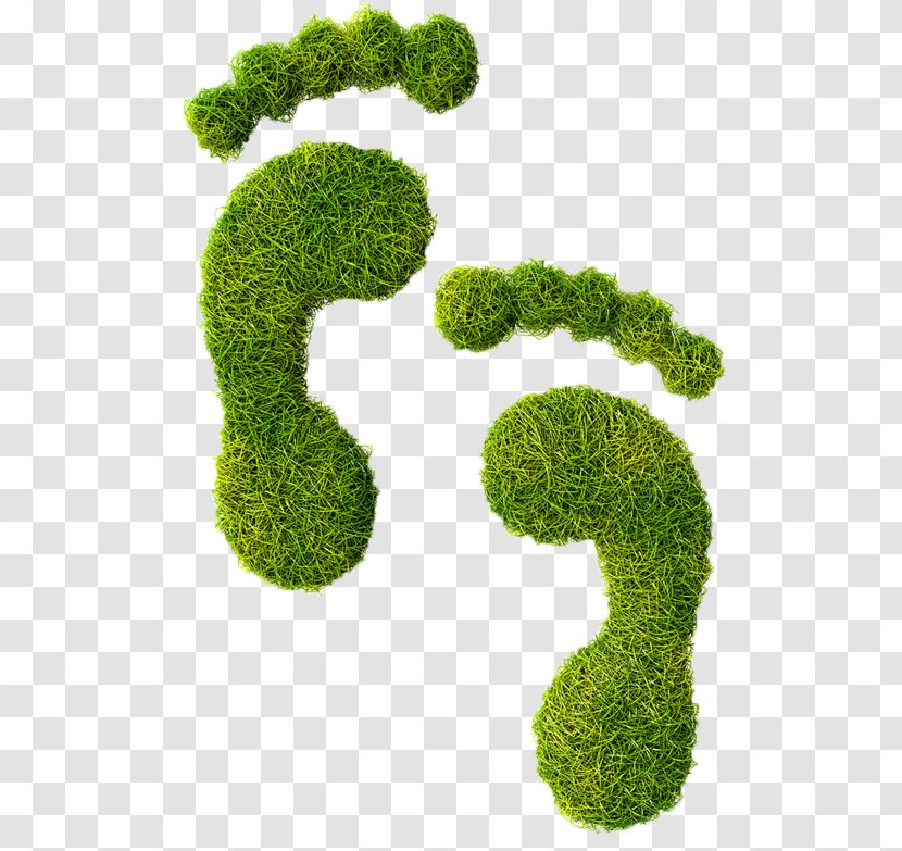 Ecological Footprint Carbon Ecology Natural Environment - Grass Transparent PNG