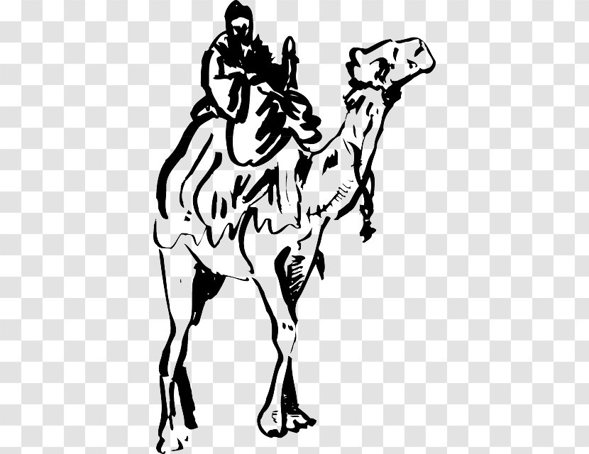 Dromedary Drawing Clip Art - Monochrome Photography - Ancient Dog Breeds Transparent PNG